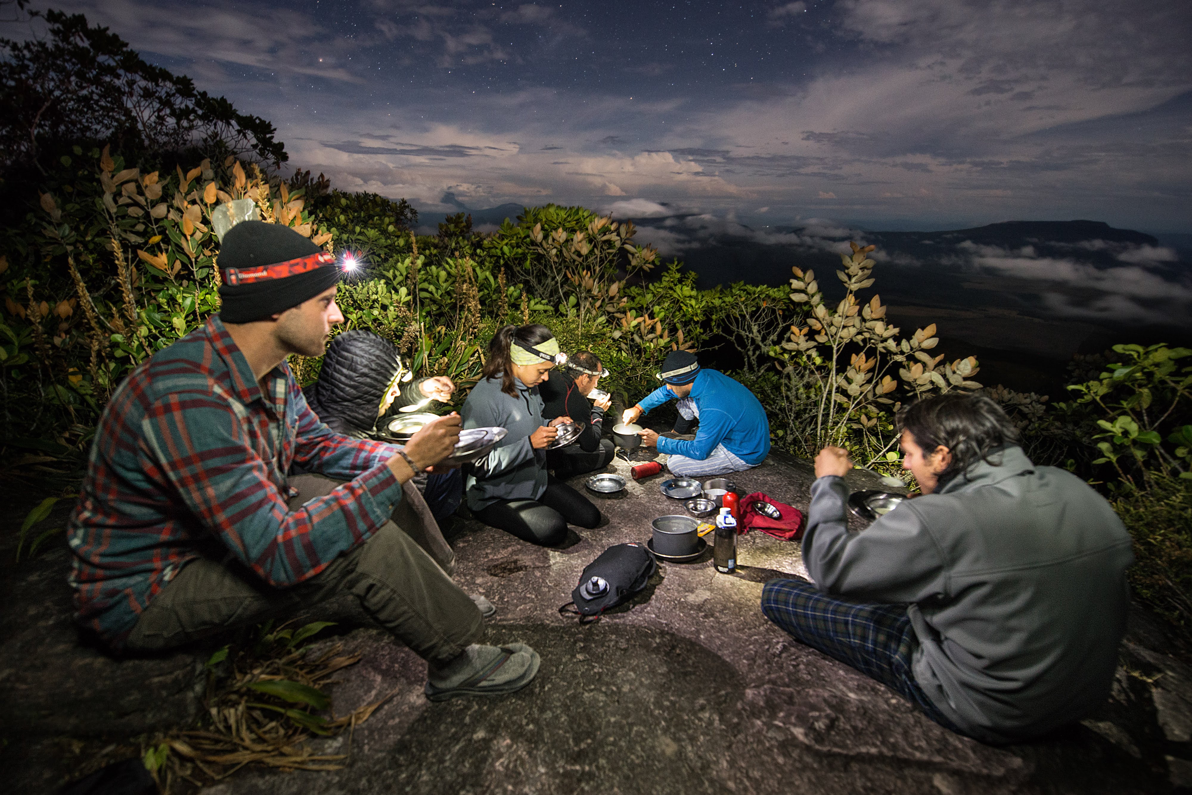 The expedition among the bromeliads of Auyán-tepui